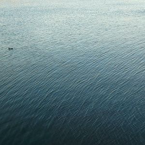 Meet your Posher, Daniela